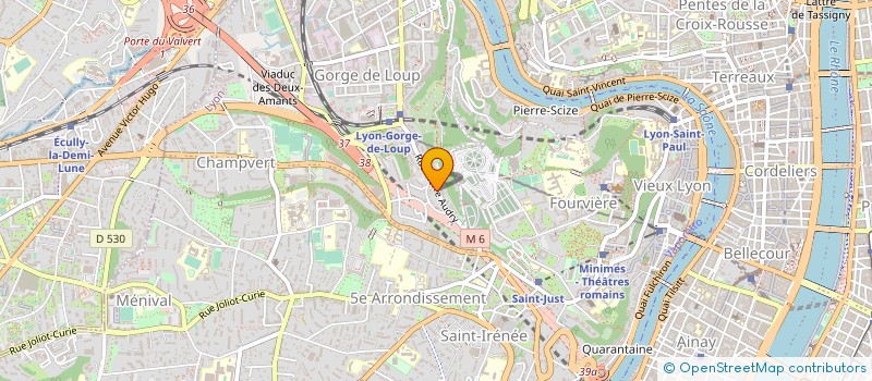 localisation de l'entreprise MADAME MARY DAVIS à LYON