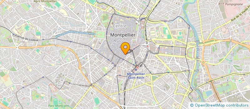 localisation de l'entreprise MADAME MARY-LOU JAVARD à MONTPELLIER