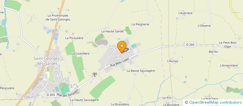 localisation de l'entreprise MADAME MARY ROUSSEAU  CHEMILLE-EN-ANJOU