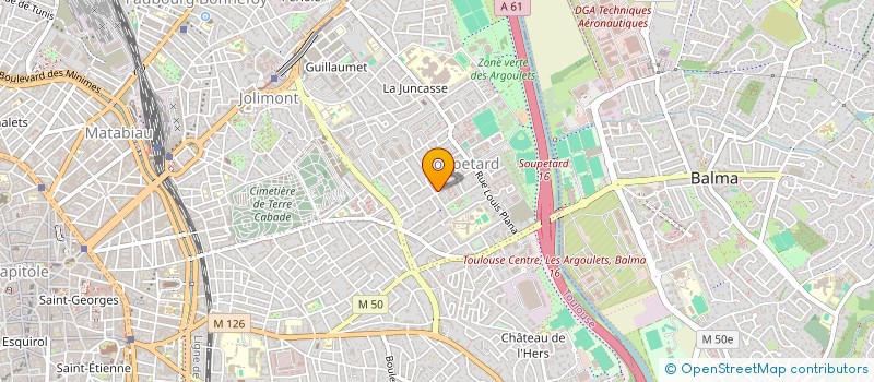 localisation de l'entreprise MADAME MARYAM BOUSMAHA  TOULOUSE