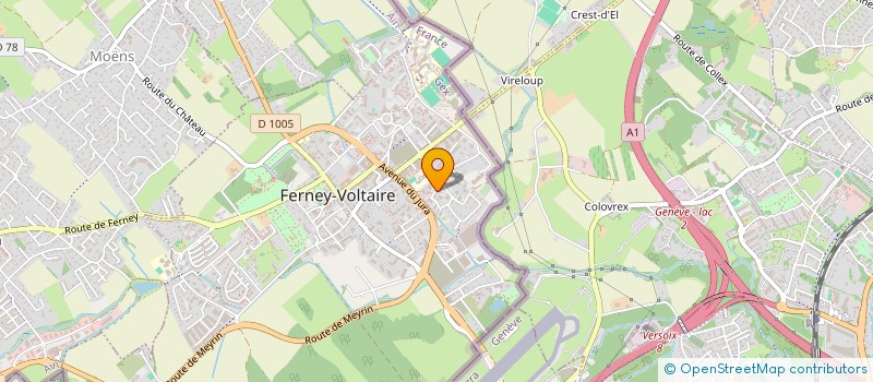 localisation de l'entreprise MADAME MARYAM CHEHIH à FERNEY-VOLTAIRE