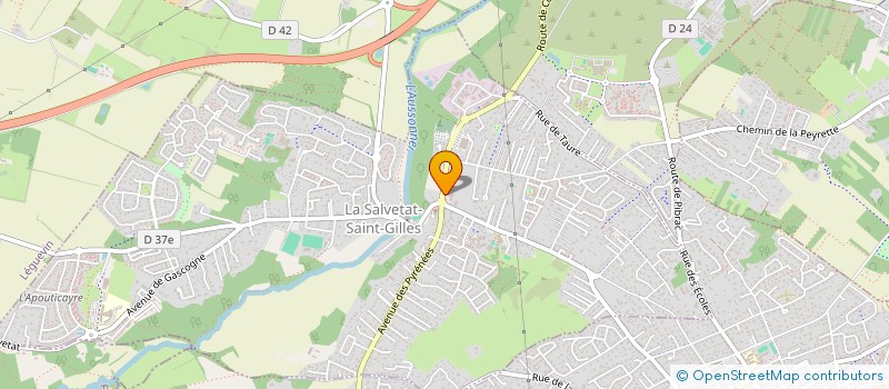 localisation de l'entreprise MADAME MARYLENE DORANGEON  LA SALVETAT-SAINT-GILLES