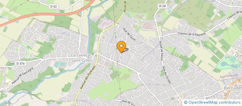 localisation de l'entreprise MADAME MARYLENE LADUGUIE  LA SALVETAT-SAINT-GILLES
