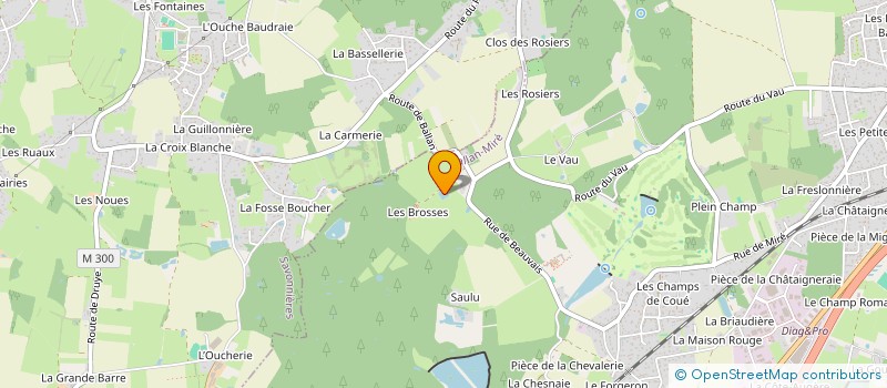 localisation de l'entreprise MADAME MARYLINE BUSSON  BALLAN-MIRE