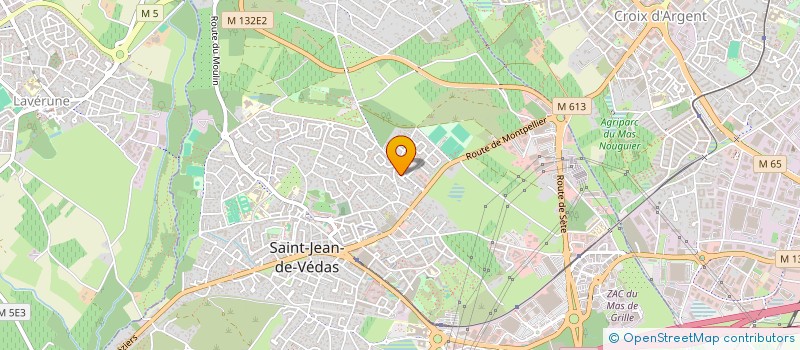 localisation de l'entreprise MADAME MARYLINE CHOSSON  SAINT-JEAN-DE-VEDAS