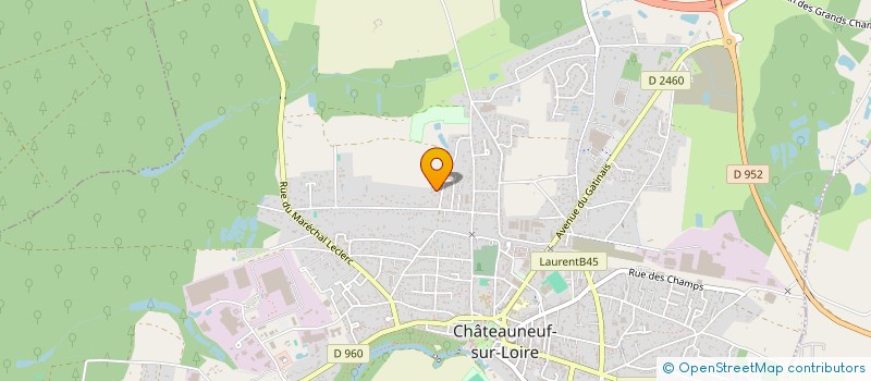 localisation de l'entreprise MADAME MARYLISE LE FAOU-LAMBERT à CHATEAUNEUF-SUR-LOIRE