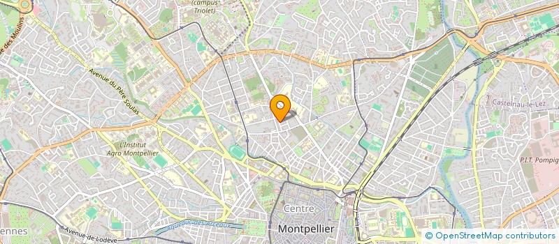localisation de l'entreprise MADAME MARYLOU MONTFORT à MONTPELLIER
