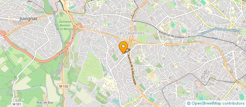 localisation de l'entreprise MADAME MARYNA ADJAOUD à MONTPELLIER