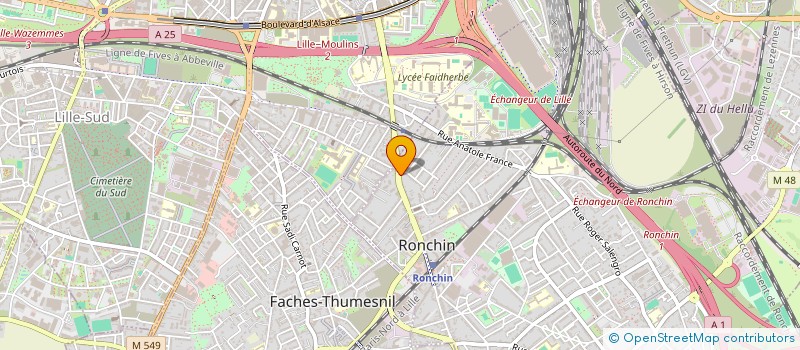 localisation de l'entreprise MADAME MARYNE RICOLEAU  RONCHIN