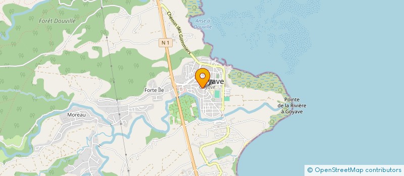 localisation de l'entreprise MADAME MARYSE ACINA  GOYAVE