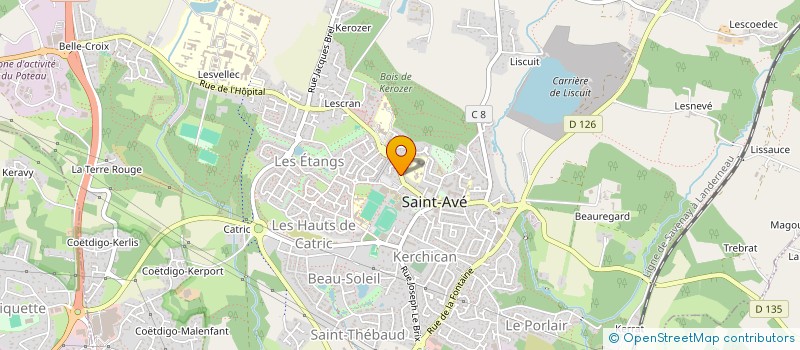 localisation de l'entreprise MADAME MARYSE CARO  SAINT-AVE