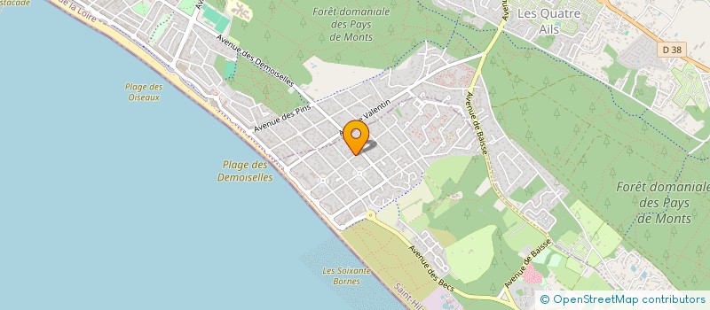 localisation de l'entreprise MADAME MARYSE FLEURY  SAINT-HILAIRE-DE-RIEZ