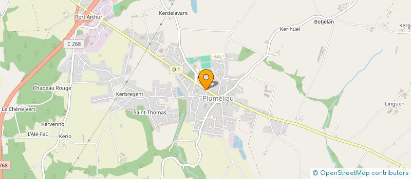 localisation de l'entreprise MADAME MARYSE LIONNE  PLUMELIAU-BIEUZY