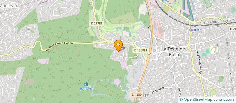 localisation de l'entreprise MADAME MARYSE REBELO à LA TESTE-DE-BUCH