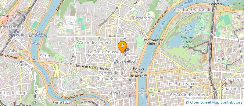 localisation de l'entreprise MADAME MARYSE RIGAL à LYON