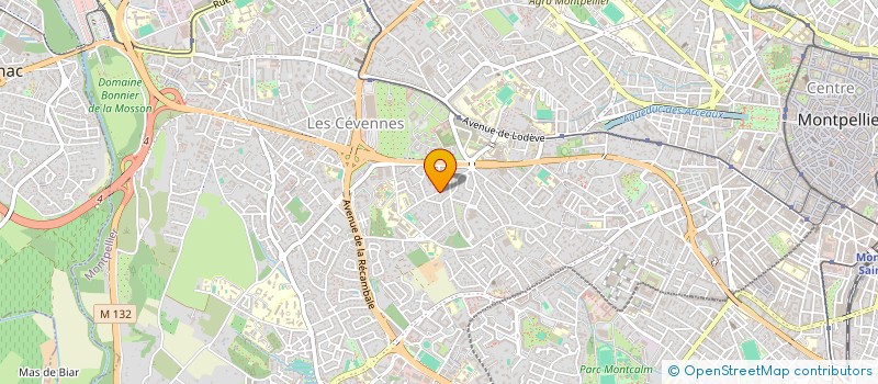 localisation de l'entreprise MADAME MARYVONNE BRAS à MONTPELLIER