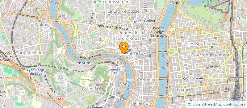 localisation de l'entreprise MADAME MARYVONNE COGOLUENHES à LYON