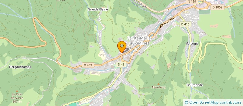 localisation de l'entreprise MADAME MARYVONNE LEJAY  SAINTE-MARIE-AUX-MINES