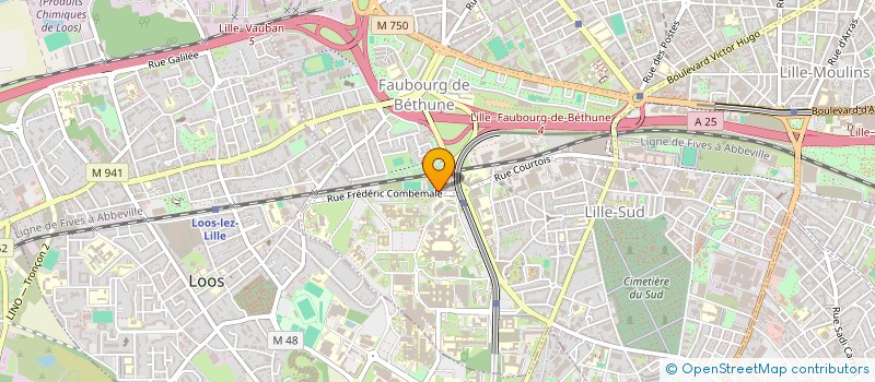 localisation de l'entreprise MADAME MASSIAMI BAMBA à LILLE