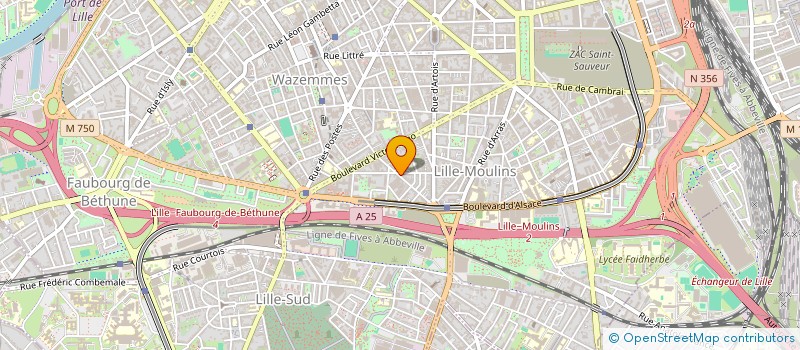 localisation de l'entreprise MADAME MASSIDIGBE CAMARA à LILLE