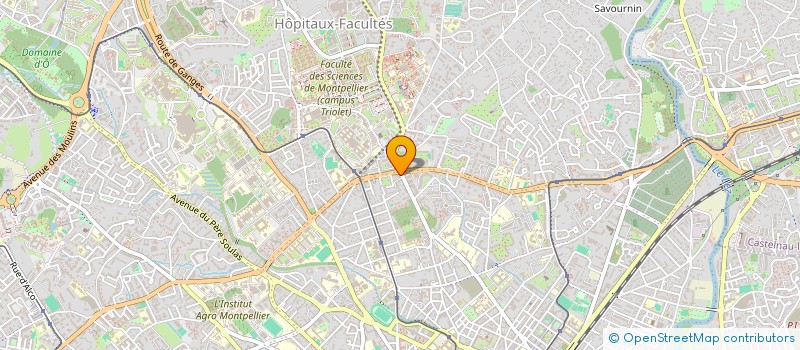 localisation de l'entreprise MADAME MATHILDA DUBOIS-PRESTES à MONTPELLIER