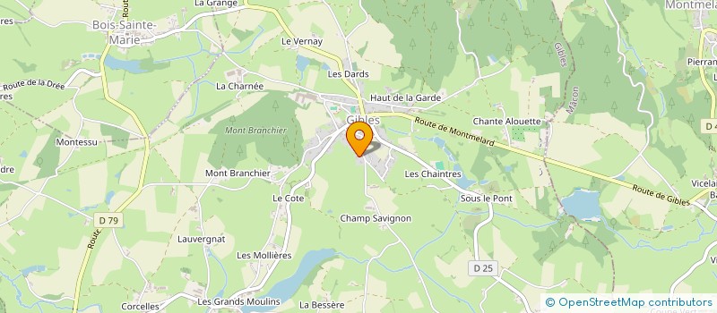 localisation de l'entreprise MADAME MATHILDA NOGUERA à GIBLES