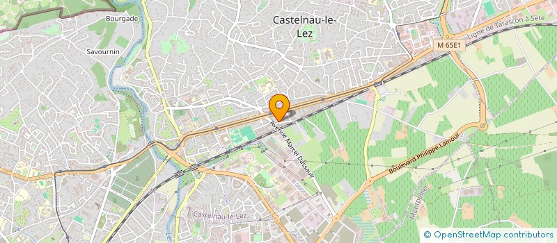 localisation de l'entreprise MADAME MATHILDE BARAY VILELA  TOULOUSE