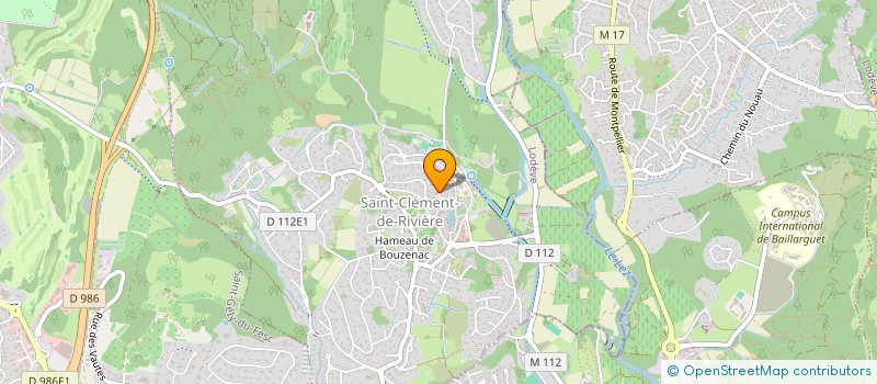 localisation de l'entreprise MADAME MATHILDE CHERONNEAU  SAINT-CLEMENT-DE-RIVIERE