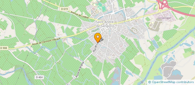 localisation de l'entreprise MADAME MATHILDE FOLLONIER  SAINT-ANDRE-DE-SANGONIS