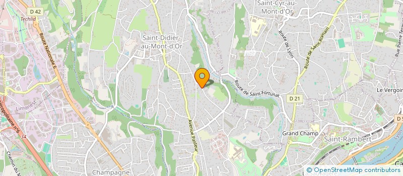 localisation de l'entreprise MADAME MATHILDE JOLIVET  SAINT-DIDIER-AU-MONT-D'OR