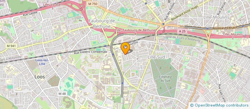 localisation de l'entreprise MADAME MATHILDE LEREAH à LILLE