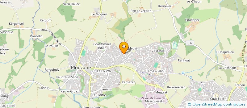 localisation de l'entreprise MADAME MATHILDE LESNES  PLOUZANE