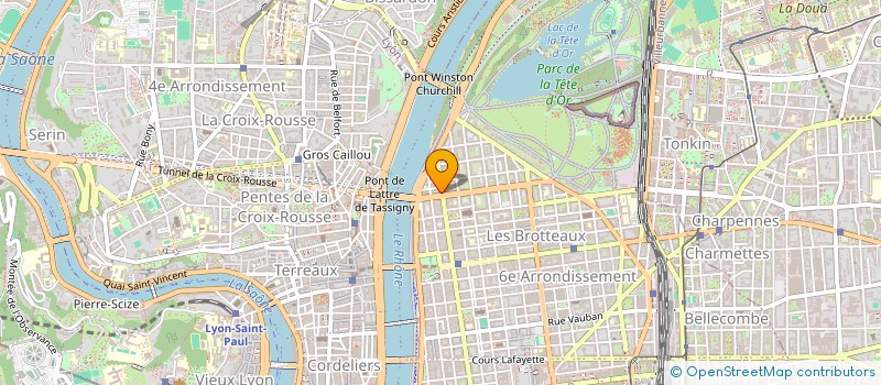 localisation de l'entreprise MADAME MATHILDE MAYAUX  LYON