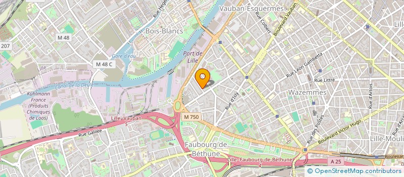 localisation de l'entreprise MADAME MATHILDE MEPLON à LILLE