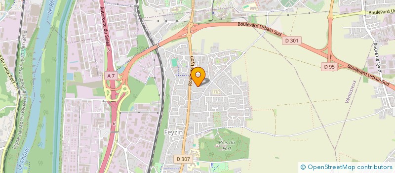 localisation de l'entreprise MADAME MATHILDE NIDIAU  FEYZIN