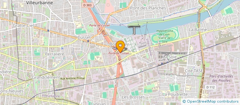 localisation de l'entreprise MADAME MATHILDE NSONA BAVUKILA  VILLEURBANNE