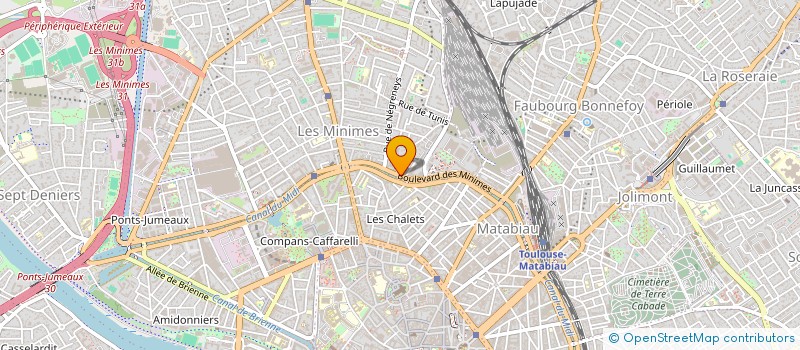 localisation de l'entreprise MADAME MATHILDE PALAS à TOULOUSE