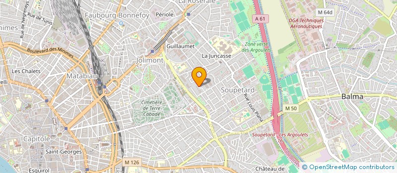 localisation de l'entreprise MADAME MATHILDE PETITOT  TOULOUSE