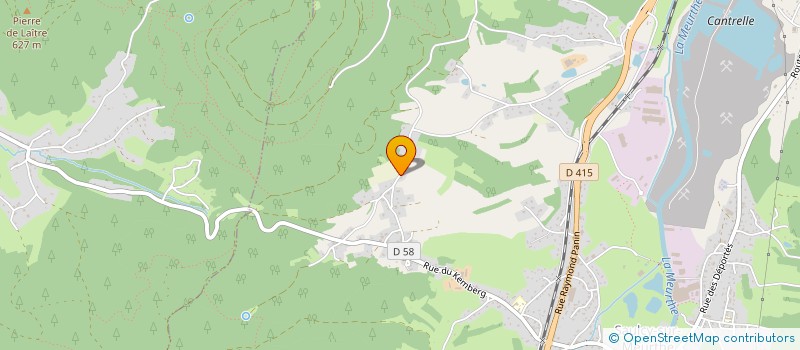 localisation de l'entreprise MADAME MATHILDE POTTERIE  SAINT-DIE-DES-VOSGES