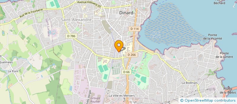 localisation de l'entreprise MADAME MATHILDE SCHAMBOURG  DINARD