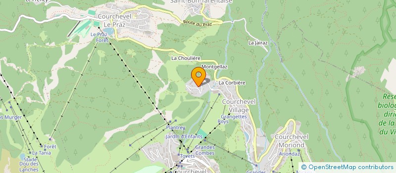 localisation de l'entreprise MADAME MATHILDE THOUVARD à COURCHEVEL