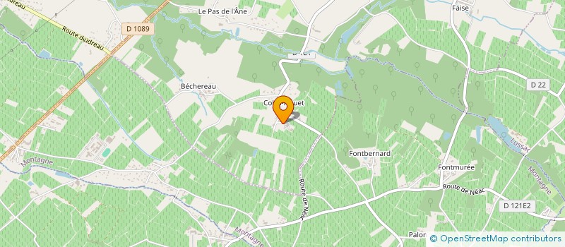 localisation de l'entreprise MADAME MATTEA MARBOUTIN  LES ARTIGUES-DE-LUSSAC