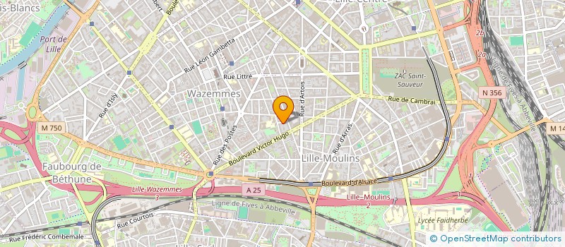 localisation de l'entreprise MADAME MATUTEZULUA DIWA à LILLE
