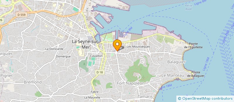 localisation de l'entreprise MADAME MAUD BERTHET à LA SEYNE-SUR-MER