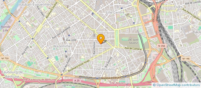 localisation de l'entreprise MADAME MAUD RADIGUE  LILLE