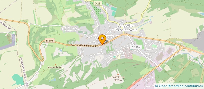 localisation de l'entreprise MADAME MAUD WOZNIAK  BLIESBRUCK