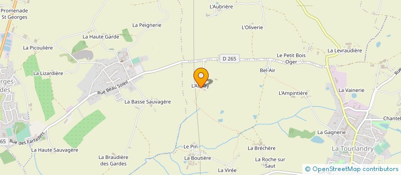 localisation de l'entreprise MADAME MAURANE SOULARD  CHEMILLE-EN-ANJOU