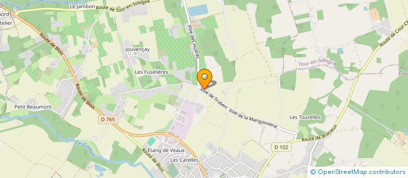 localisation de l'entreprise MADAME MAURICETTE BERRUER  COUR-CHEVERNY