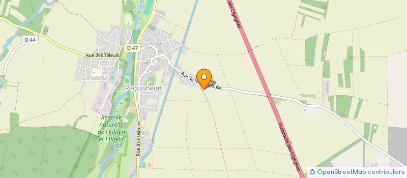 localisation de l'entreprise MADAME MAURINE SCHNEIDERLIN  REGUISHEIM
