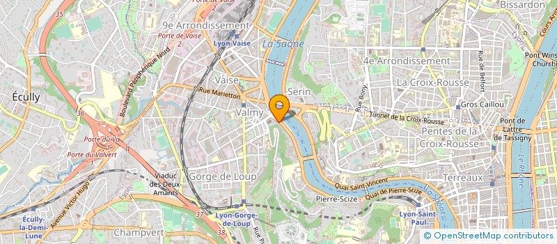 localisation de l'entreprise MADAME MAX MARIE JOSE ESSOMBA  LYON